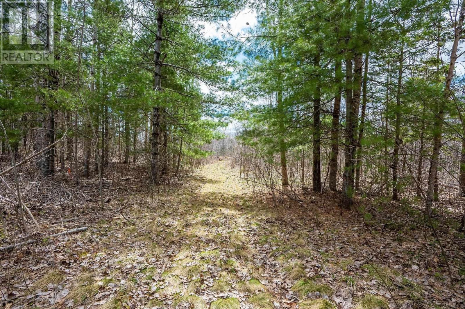 Lot 2021 Central Ave, Greenwood, Nova Scotia  B0P 1N0 - Photo 10 - 202601843