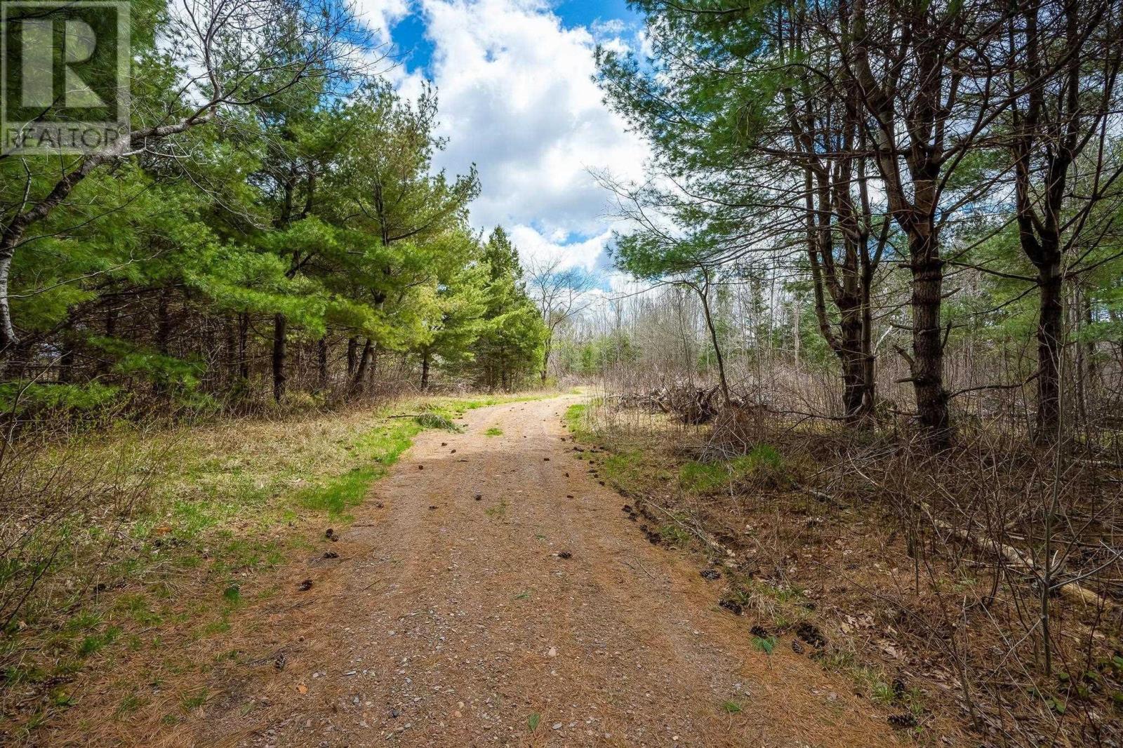 Lot 2021 Central Ave, Greenwood, Nova Scotia  B0P 1N0 - Photo 4 - 202601843