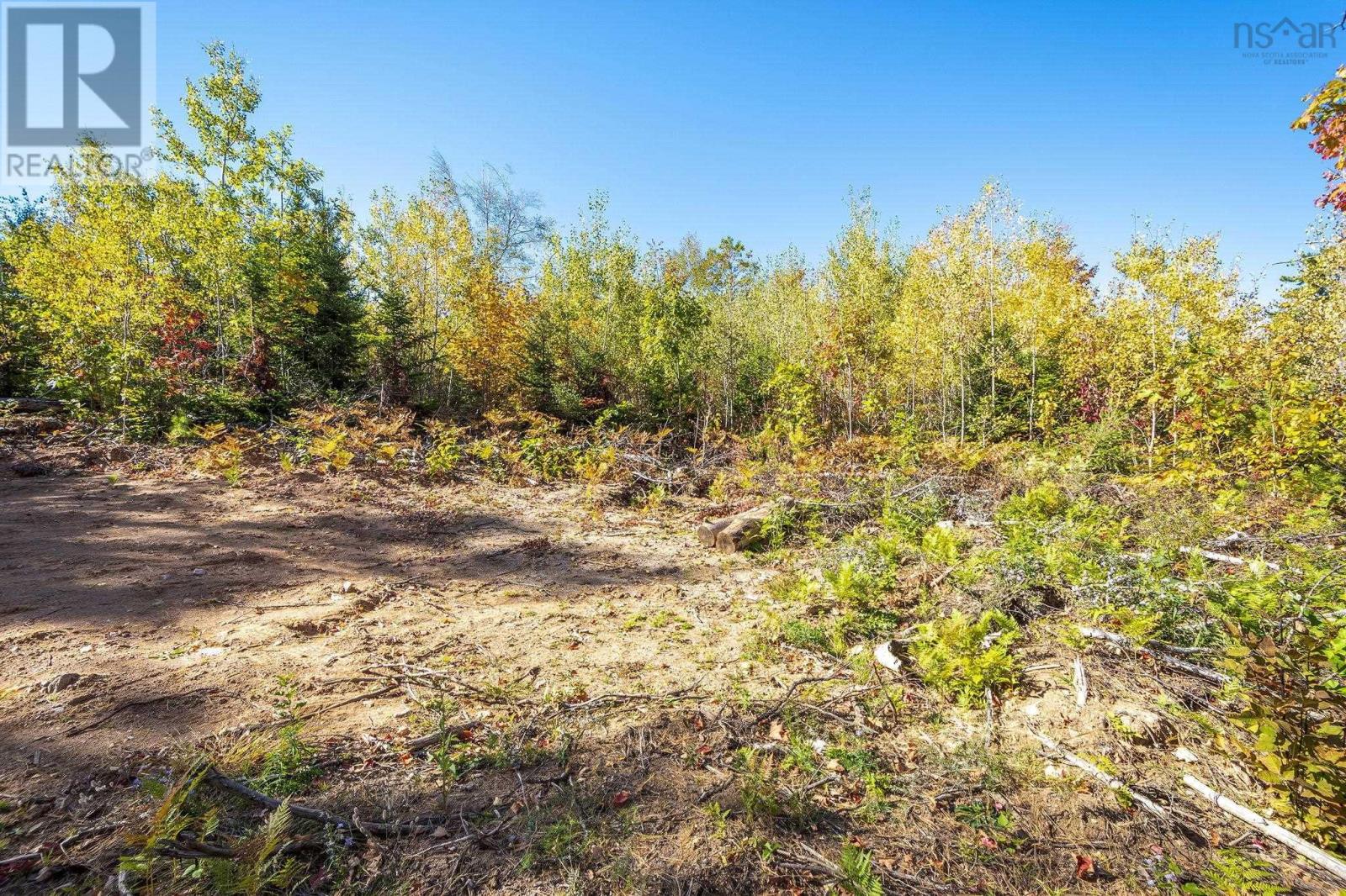 Lot 11 Cambridge Mountain Road, Prospect, Nova Scotia  B0G 1G0 - Photo 5 - 202601840