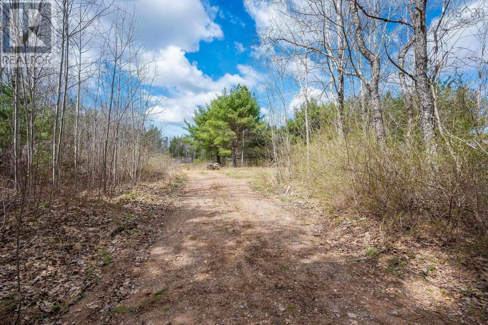 Lot 2021 Central Ave, Greenwood, Nova Scotia  B0P 1N0 - Photo 9 - 202601843