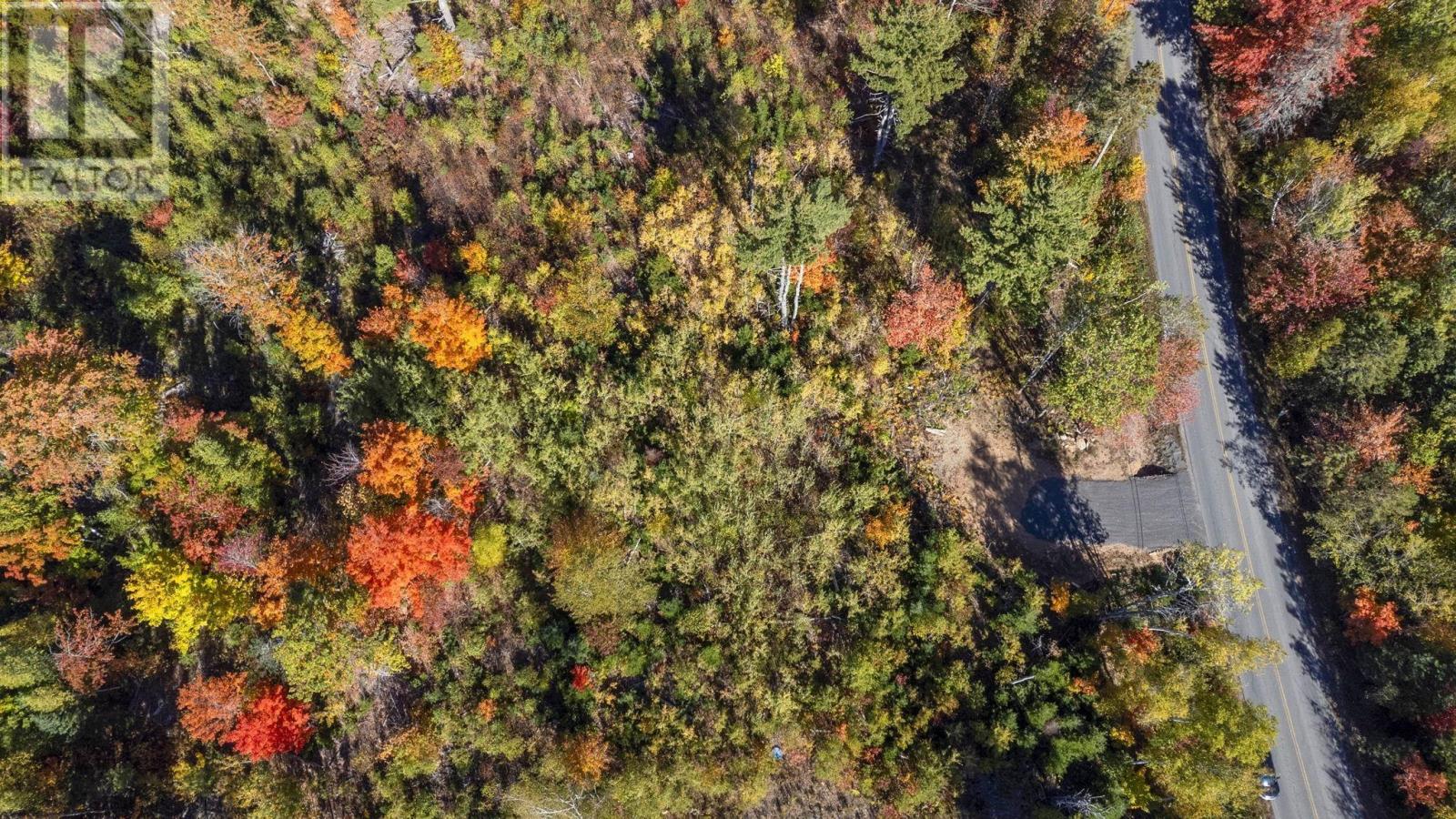 Lot 11 Cambridge Mountain Road, Prospect, Nova Scotia  B0G 1G0 - Photo 9 - 202601840