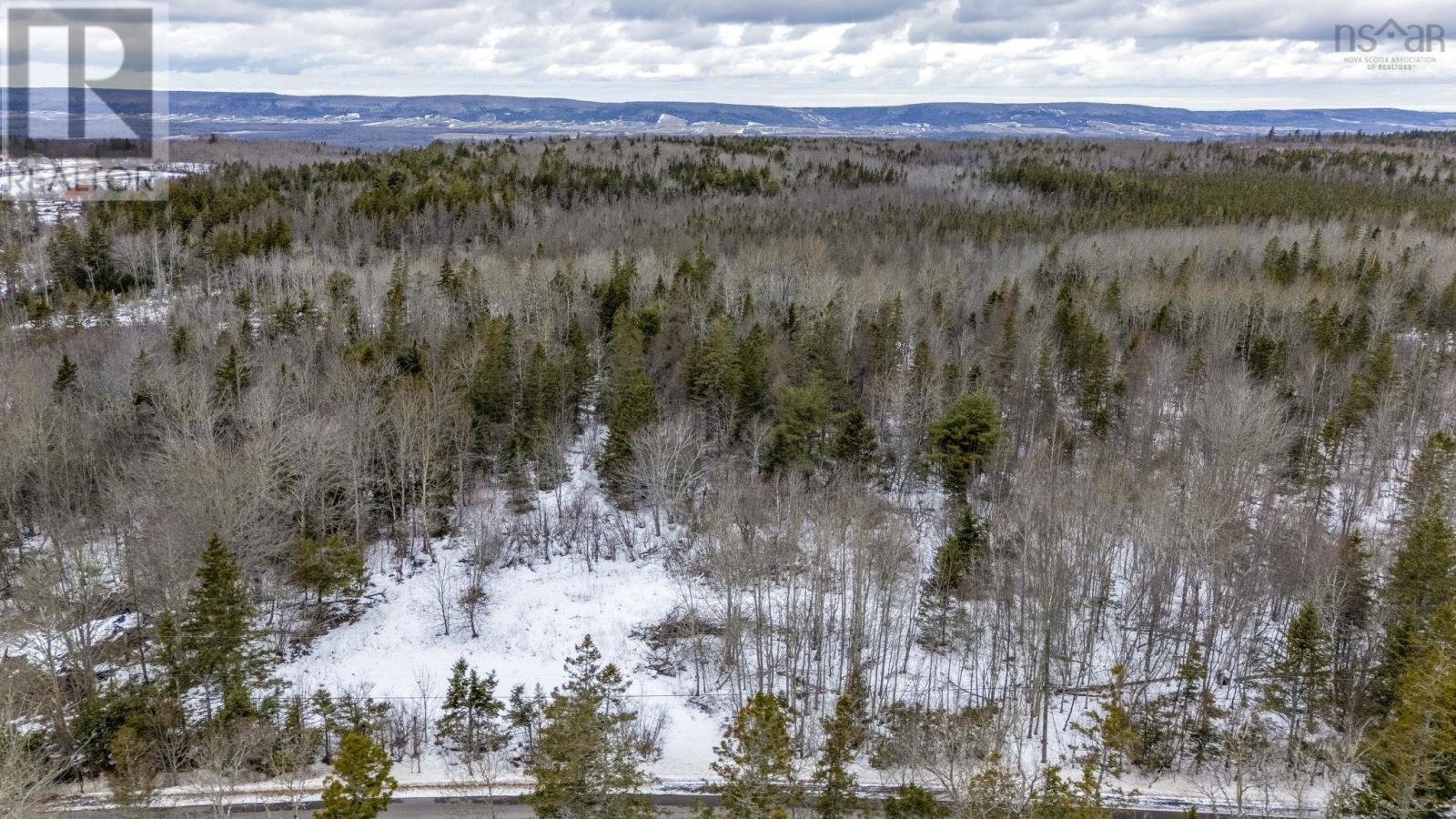 Lot Inglisville Road, Inglisville, Nova Scotia  B0S 1M0 - Photo 11 - 202601846