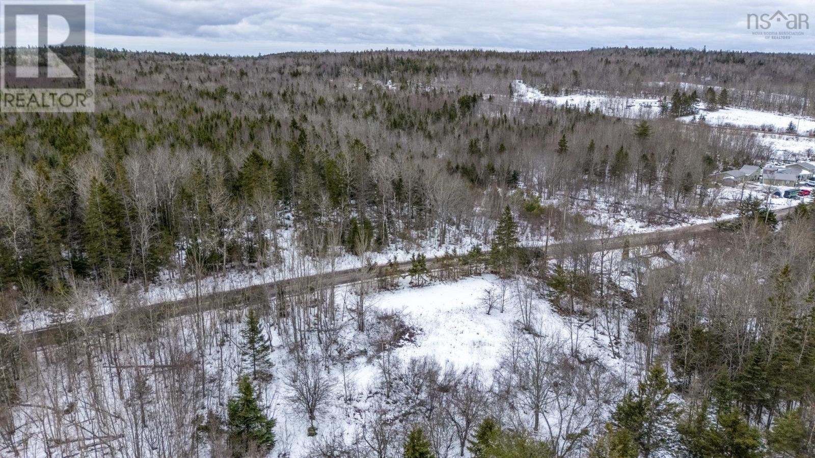 Lot Inglisville Road, Inglisville, Nova Scotia  B0S 1M0 - Photo 10 - 202601846