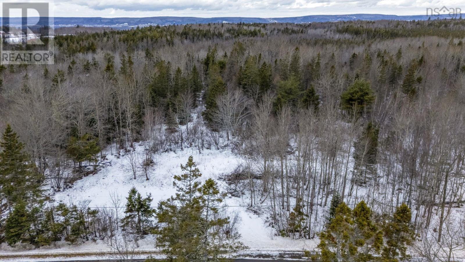 Lot Inglisville Road, Inglisville, Nova Scotia  B0S 1M0 - Photo 2 - 202601846