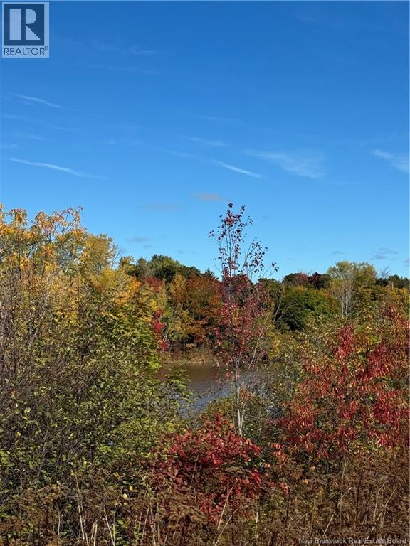 109 Upton Street, Moncton, New Brunswick  E1E 2Z9 - Photo 42 - NB132954