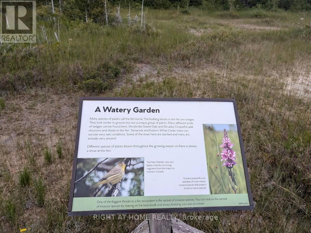 3 Oriole Avenue, South Bruce Peninsula, Ontario  N0H 2T0 - Photo 17 - X12742132