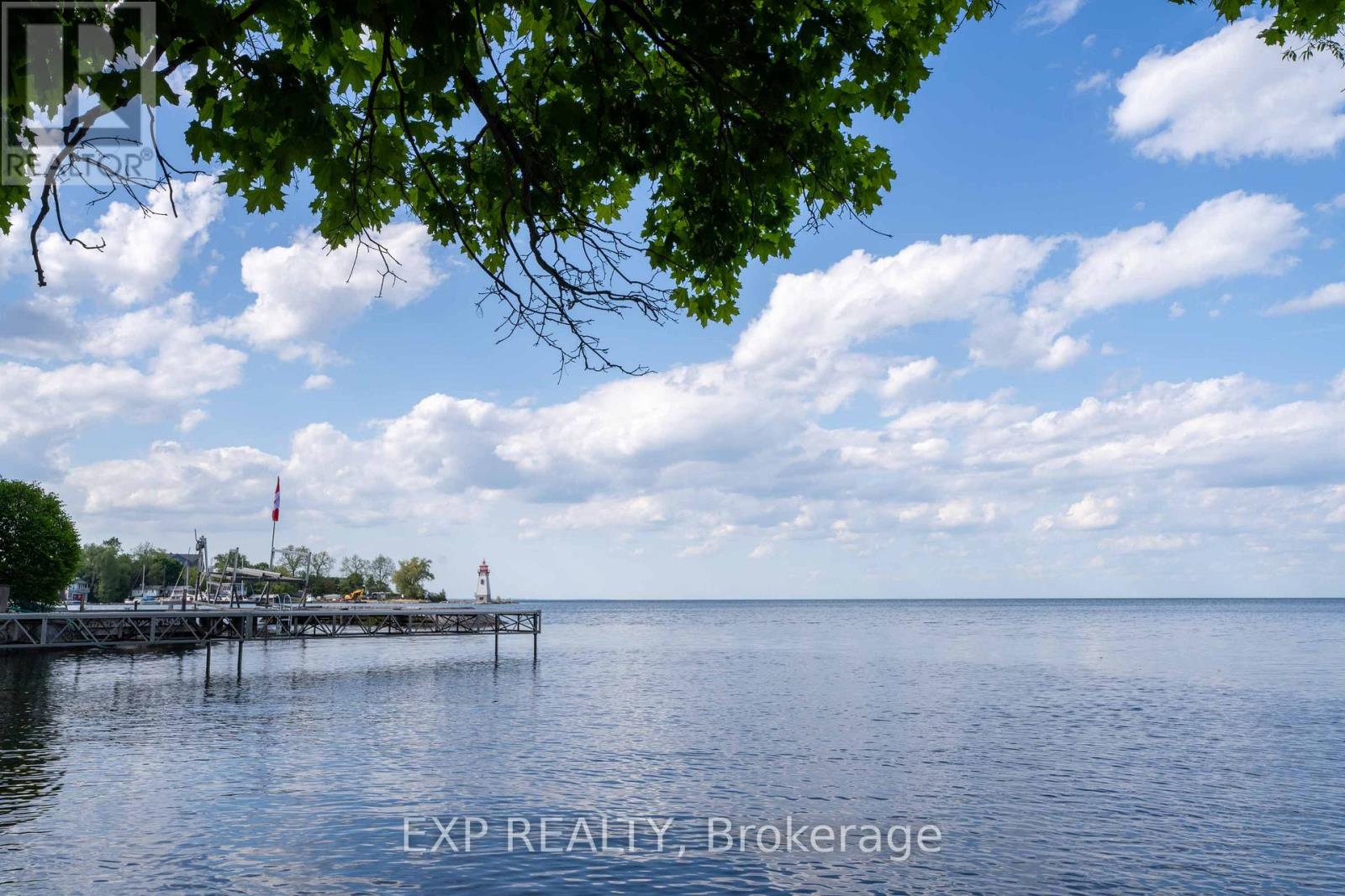 25 Pinery Lane, Georgina (Sutton & Jackson's Point), Ontario  L0E 1L0 - Photo 47 - N12747478