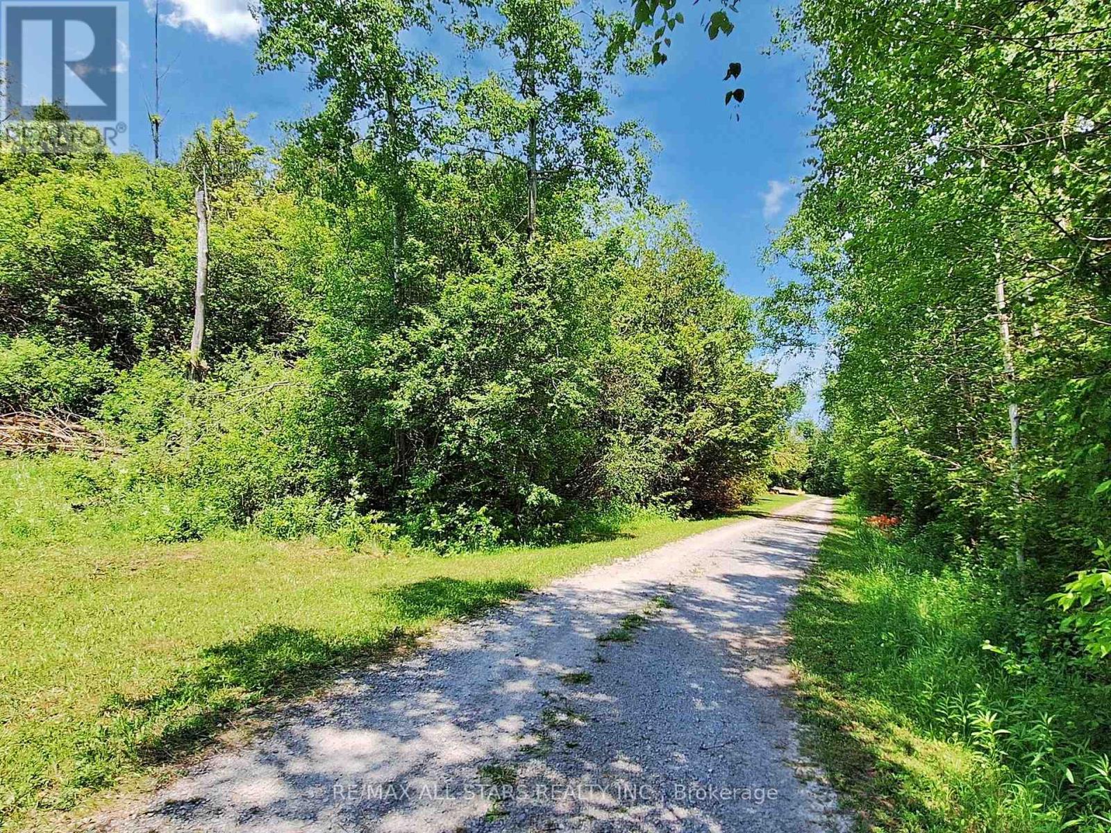 27352 Highway 48, Georgina (Sutton & Jackson's Point), Ontario  L0E 1R0 - Photo 44 - N12747530