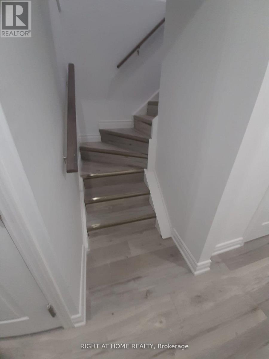 Studio 2 - 3222 Trelawny Circle, Mississauga, Ontario  L5N 5G5 - Photo 3 - W12747540