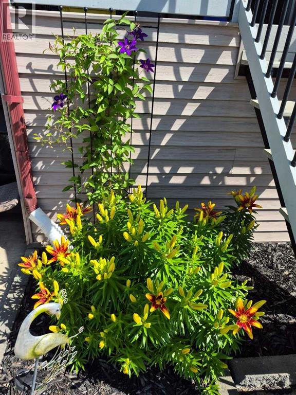 52 Ross Haven Way Se, Medicine Hat, Alberta  T1B 2T8 - Photo 45 - A2281166