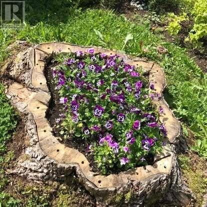 196 Grenfell Heights, Grand Falls-Windsor, Newfoundland & Labrador  A2A 2J2 - Photo 10 - 1293937