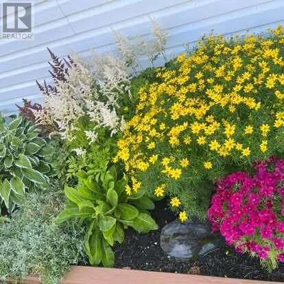 196 Grenfell Heights, Grand Falls-Windsor, Newfoundland & Labrador  A2A 2J2 - Photo 14 - 1293937