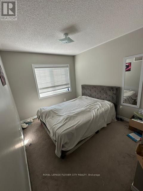 38 Walbrook Road, Brampton, Ontario  L7A 1K4 - Photo 9 - W12744442