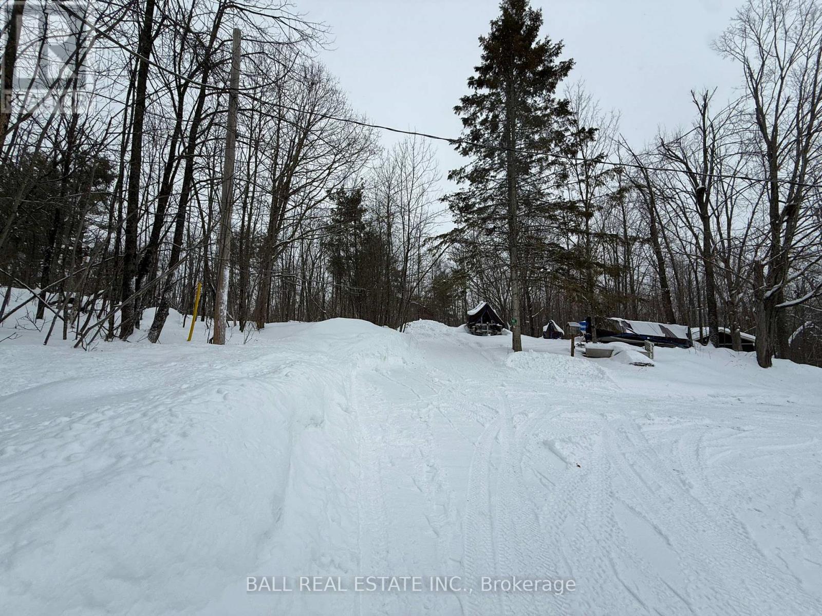 50 Fire Route 10b, North Kawartha, Ontario  K0L 3E0 - Photo 41 - X12747646