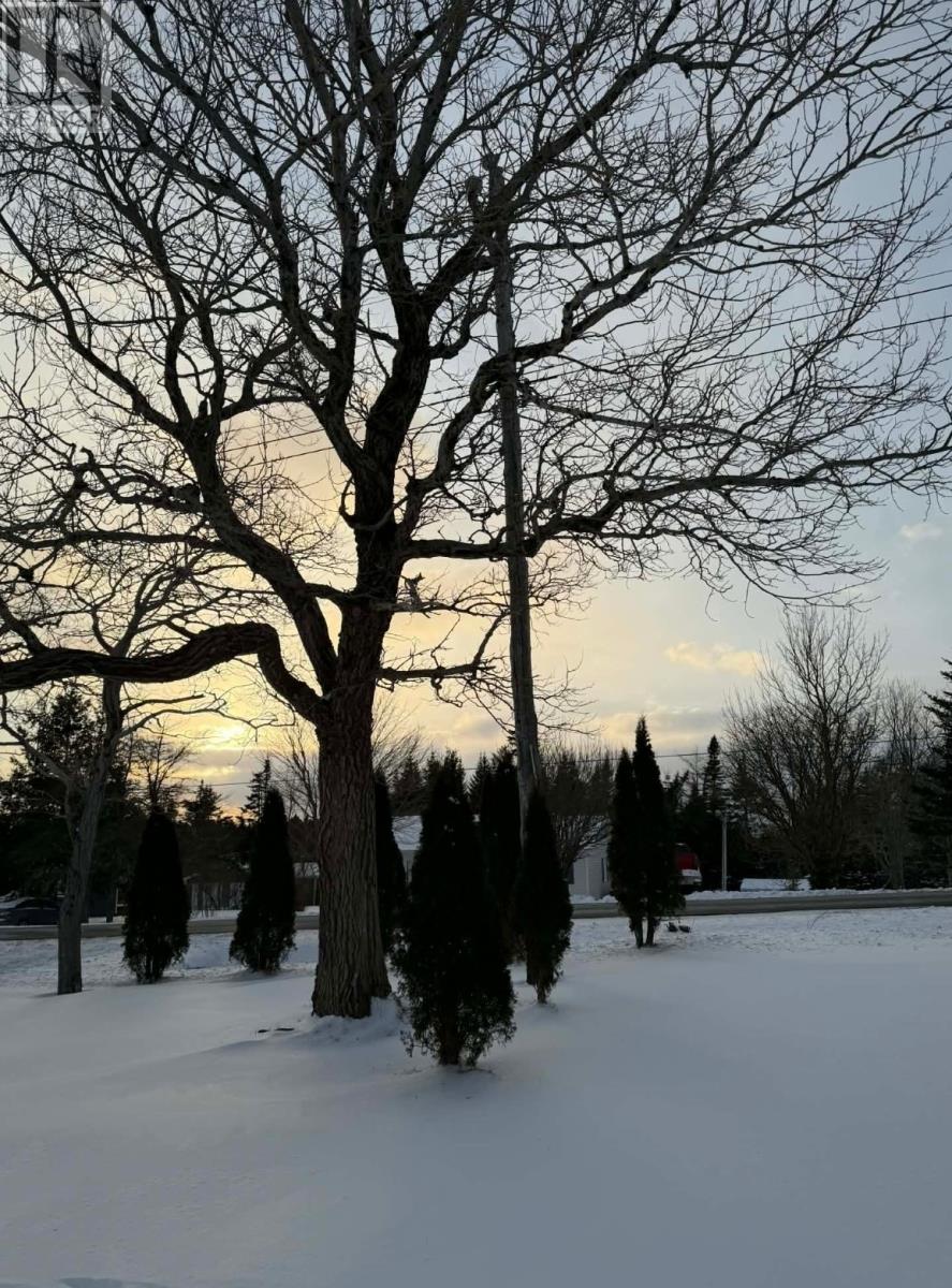 101 Main Road, Markland, Newfoundland & Labrador  A0B 3K0 - Photo 3 - 1294071