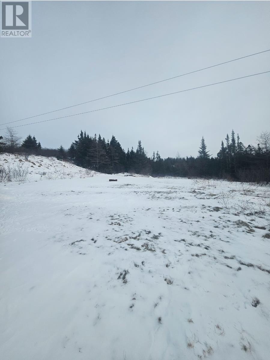 101 Main Road, Markland, Newfoundland & Labrador  A0B 3K0 - Photo 35 - 1294071