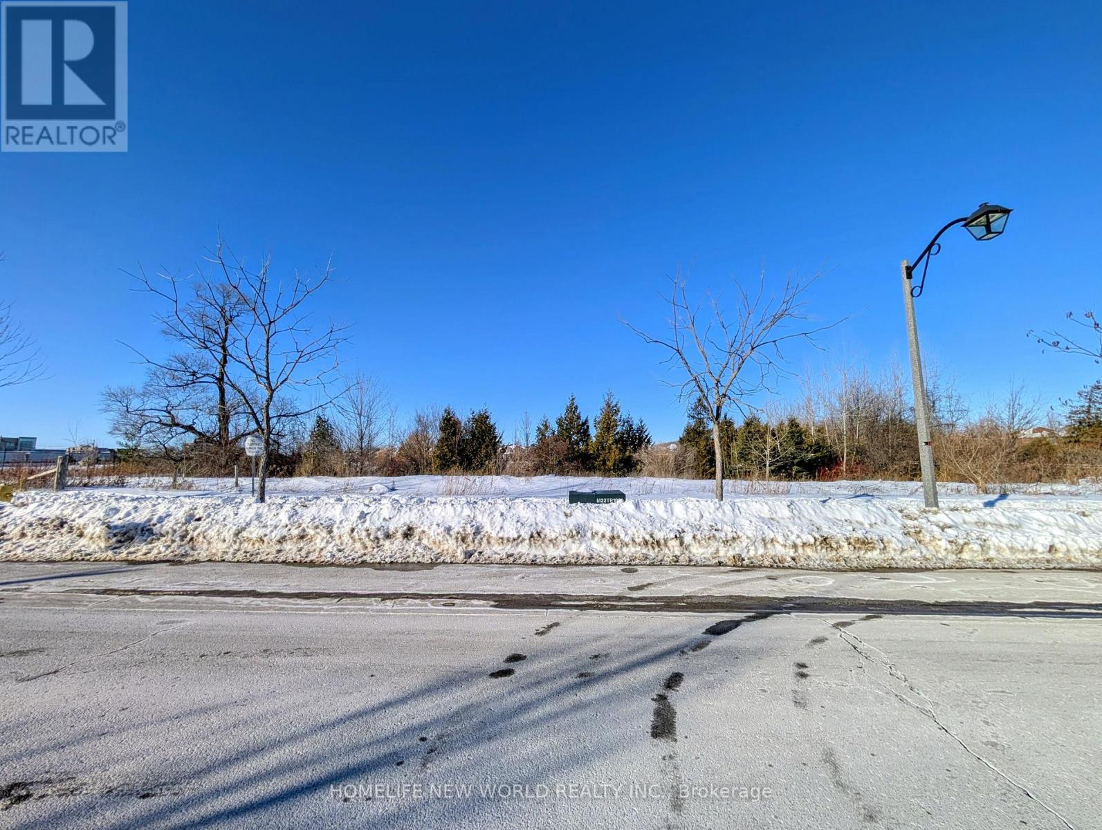 105 James Parrott Avenue, Markham, Ontario  L6E 2B3 - Photo 18 - N12747602