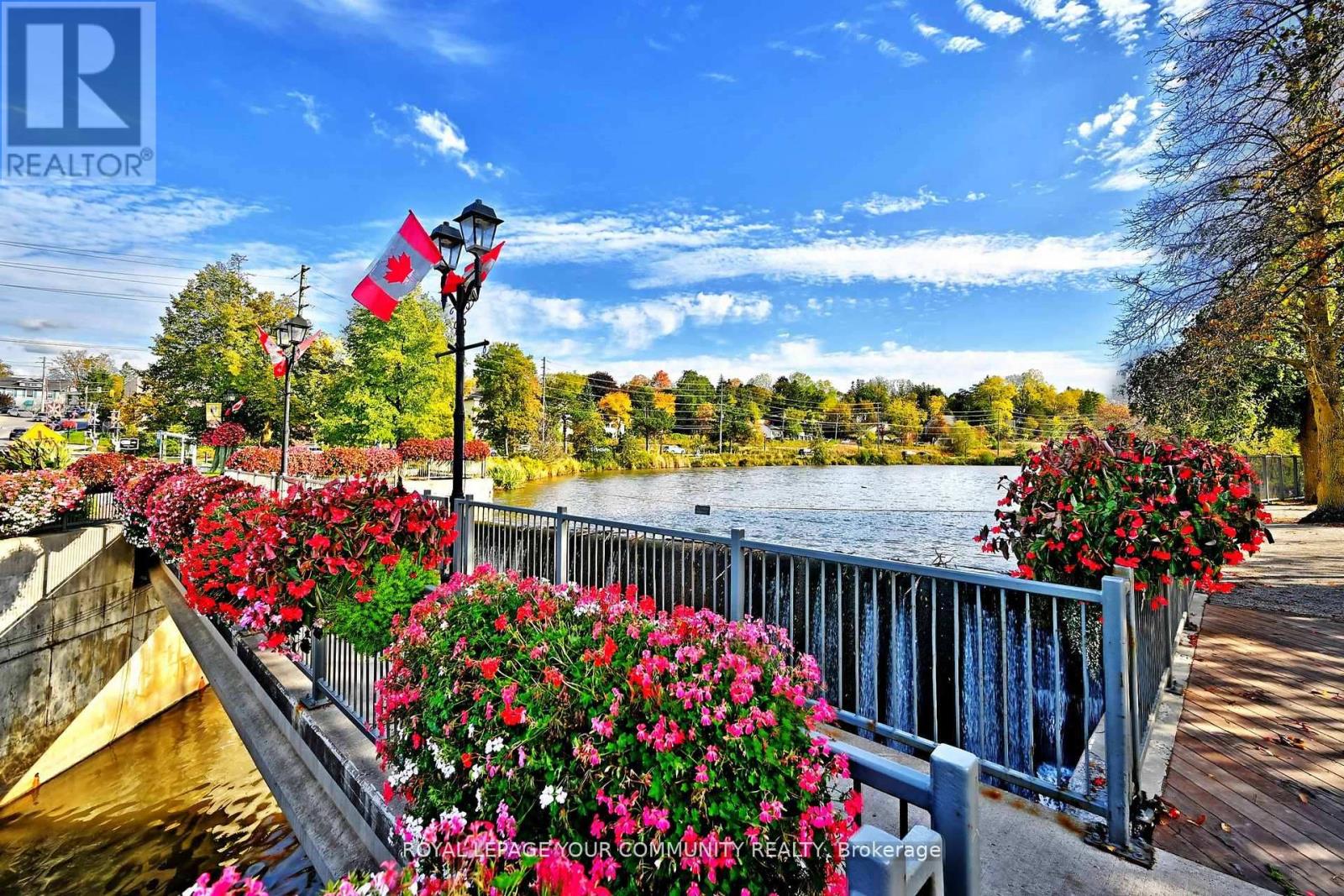 448 Timothy Street, Newmarket, Ontario  L3Y 1P8 - Photo 45 - N12747618