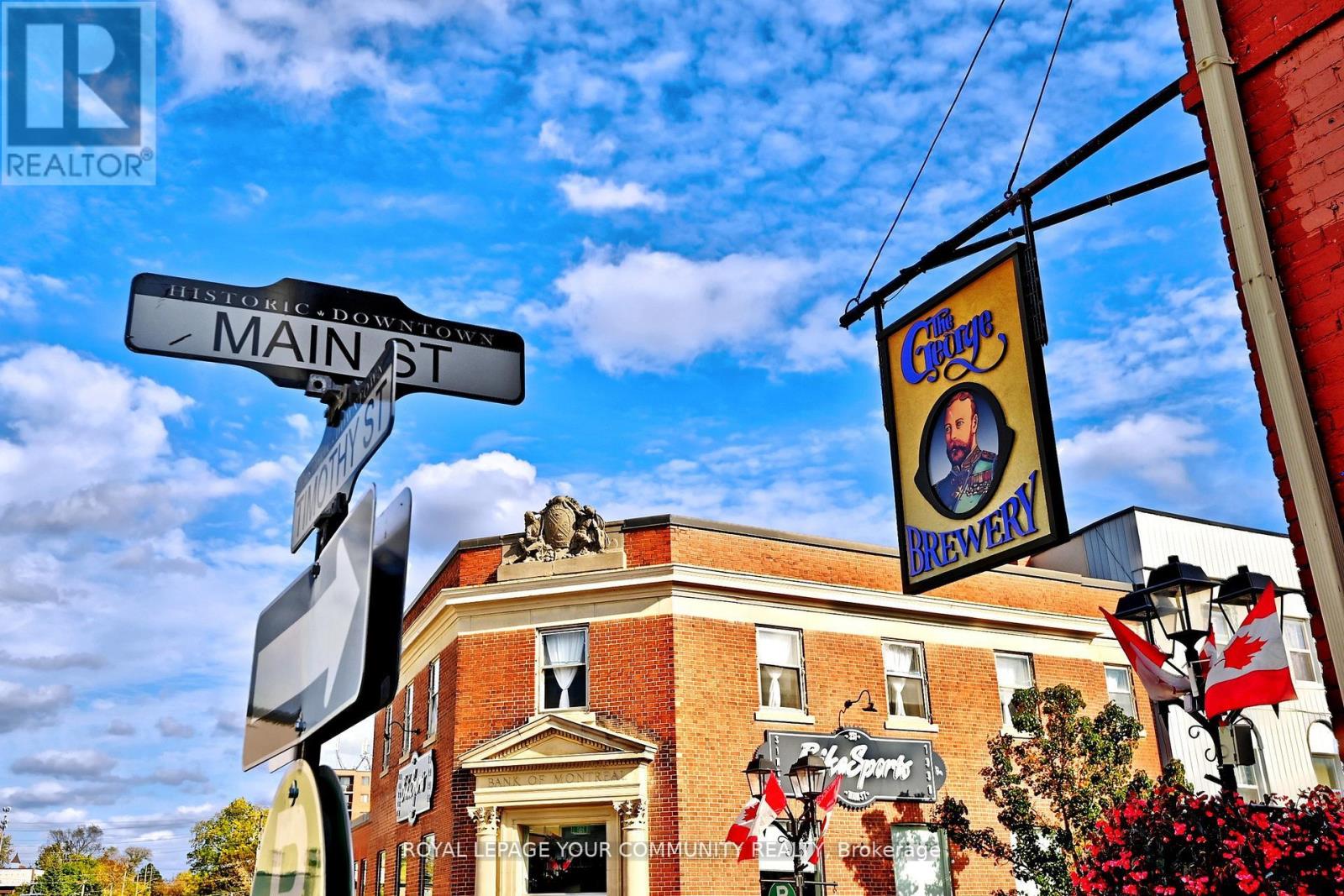 448 Timothy Street, Newmarket, Ontario  L3Y 1P8 - Photo 48 - N12747618