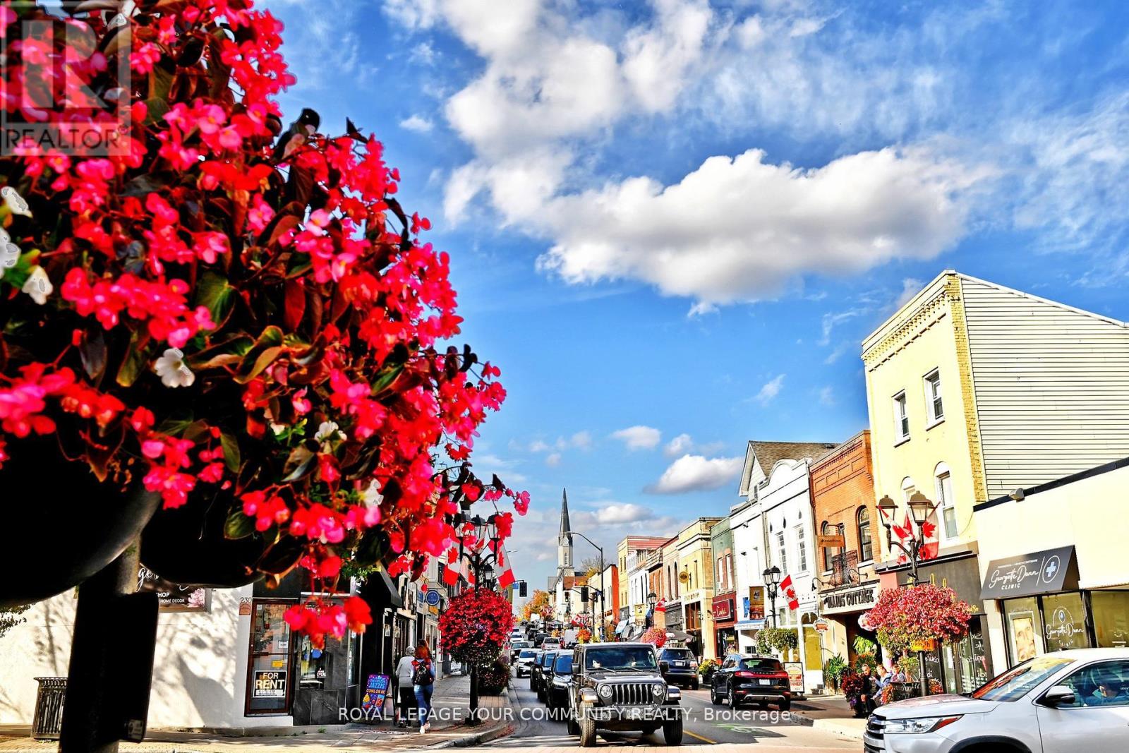 448 Timothy Street, Newmarket, Ontario  L3Y 1P8 - Photo 49 - N12747618