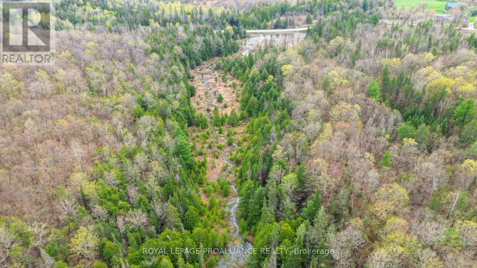 0 Spry Settlement Road, Stirling-Rawdon (Rawdon Ward), Ontario  K0K 3E0 - Photo 10 - X12747828