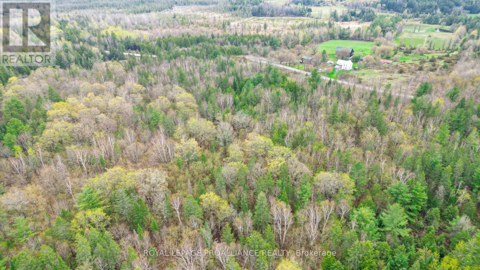 0 Spry Settlement Road, Stirling-Rawdon (Rawdon Ward), Ontario  K0K 3E0 - Photo 13 - X12747828