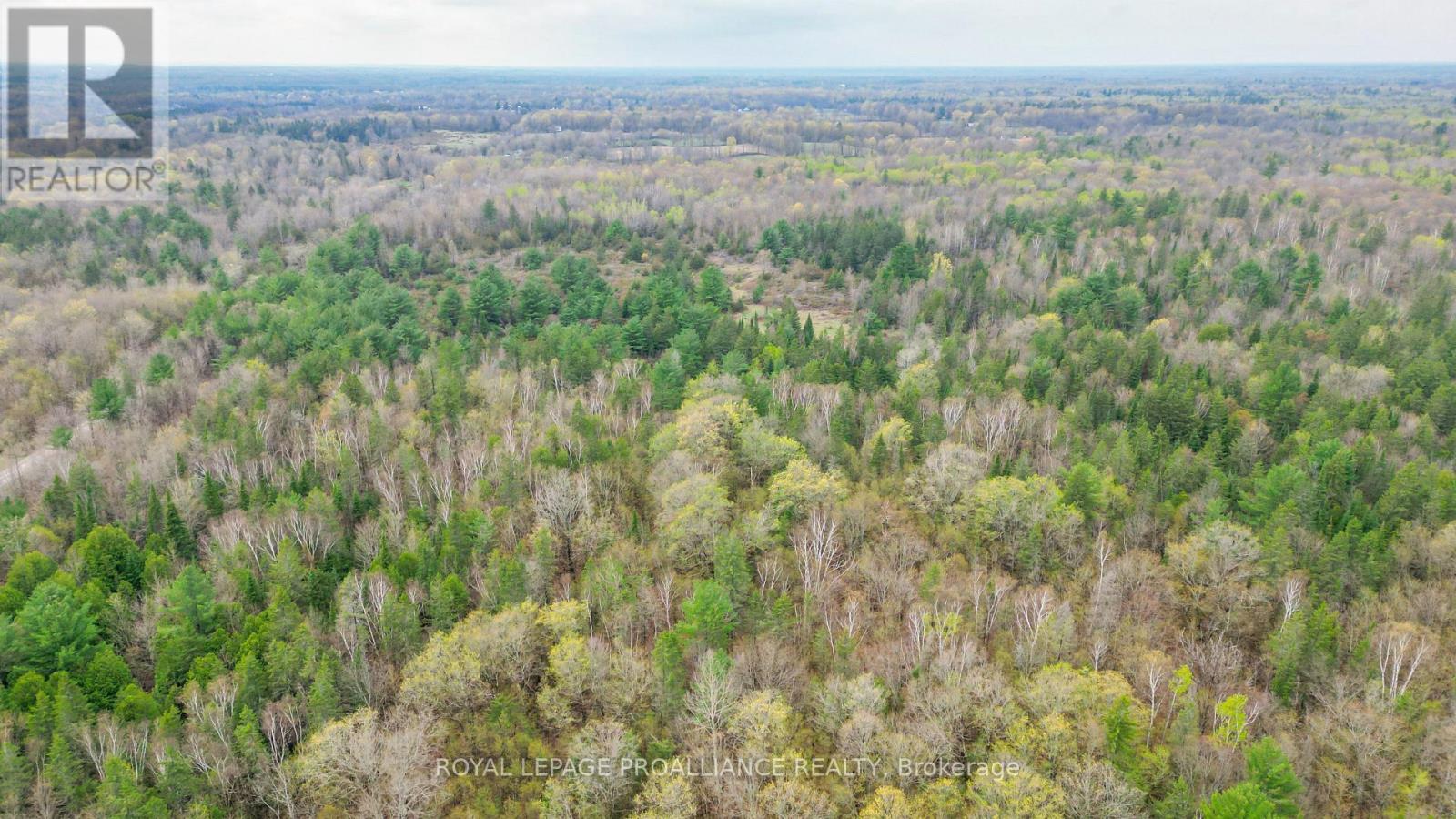 0 Spry Settlement Road, Stirling-Rawdon (Rawdon Ward), Ontario  K0K 3E0 - Photo 16 - X12747828