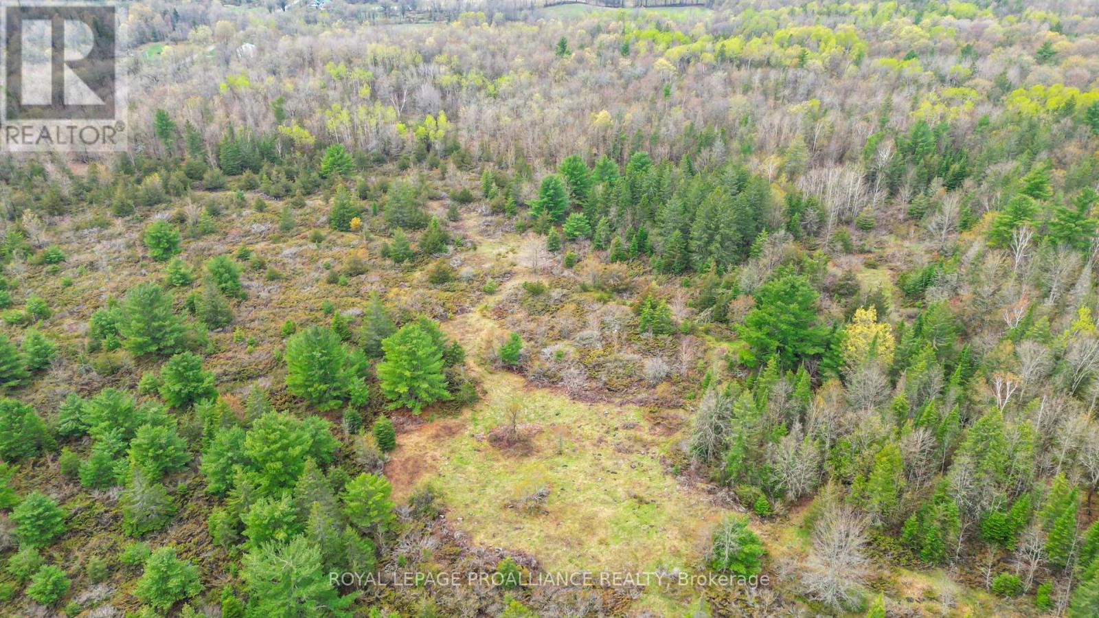 0 Spry Settlement Road, Stirling-Rawdon (Rawdon Ward), Ontario  K0K 3E0 - Photo 18 - X12747828