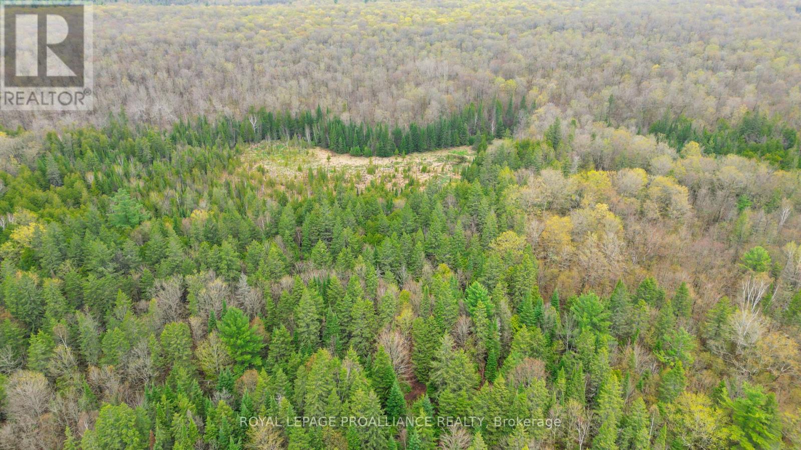 0 Spry Settlement Road, Stirling-Rawdon (Rawdon Ward), Ontario  K0K 3E0 - Photo 19 - X12747828