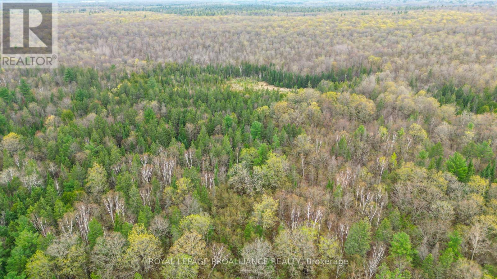 0 Spry Settlement Road, Stirling-Rawdon (Rawdon Ward), Ontario  K0K 3E0 - Photo 20 - X12747828