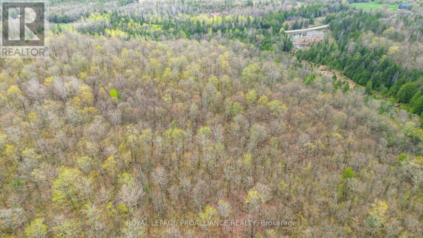 0 Spry Settlement Road, Stirling-Rawdon (Rawdon Ward), Ontario  K0K 3E0 - Photo 8 - X12747828