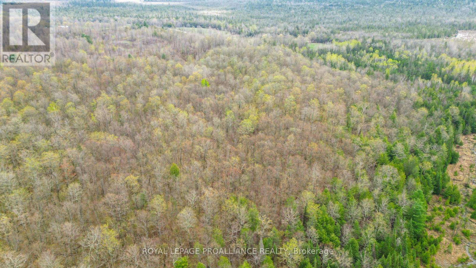 0 Spry Settlement Road, Stirling-Rawdon (Rawdon Ward), Ontario  K0K 3E0 - Photo 9 - X12747828