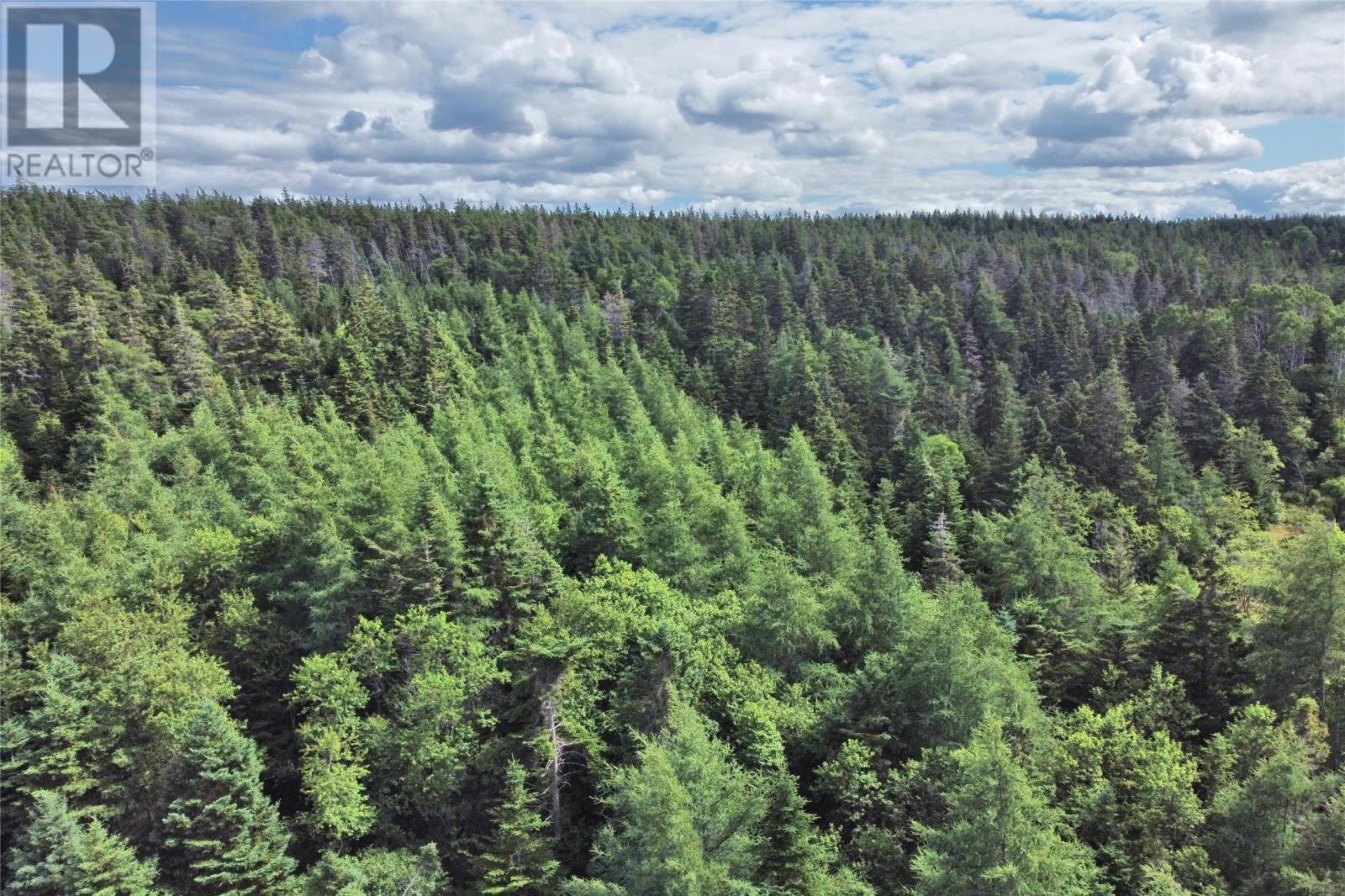 347-355 Conception Bay Highway, Brigus, Newfoundland & Labrador  A0A 1K0 - Photo 10 - 1294240