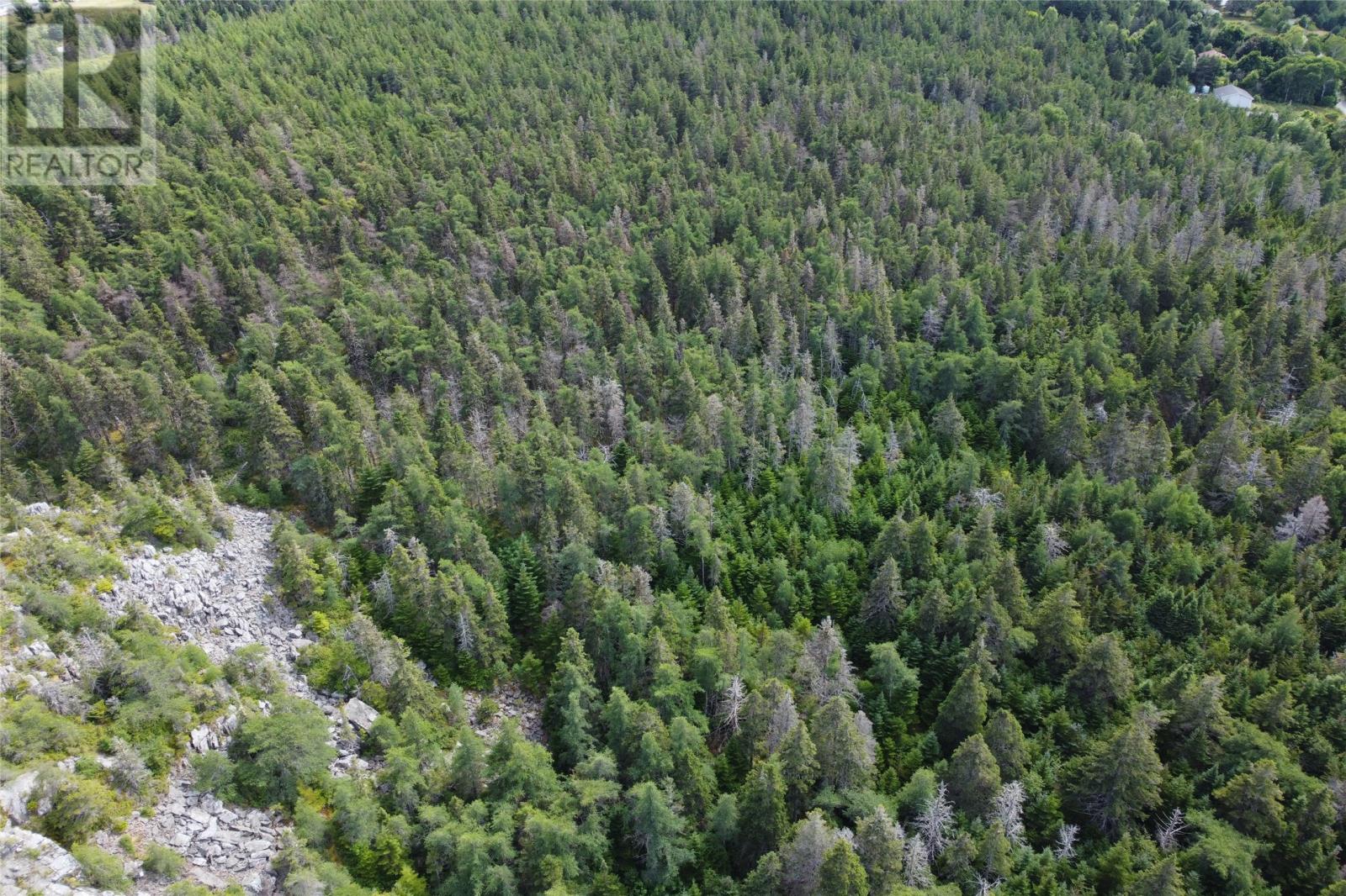 347-355 Conception Bay Highway, Brigus, Newfoundland & Labrador  A0A 1K0 - Photo 7 - 1294240