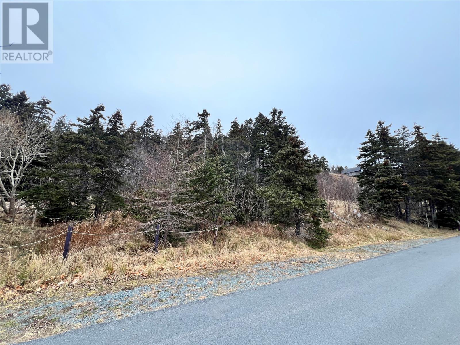 31 Harbour Drive, Clarkes Beach, Newfoundland & Labrador  A0A 1W0 - Photo 4 - 1294239