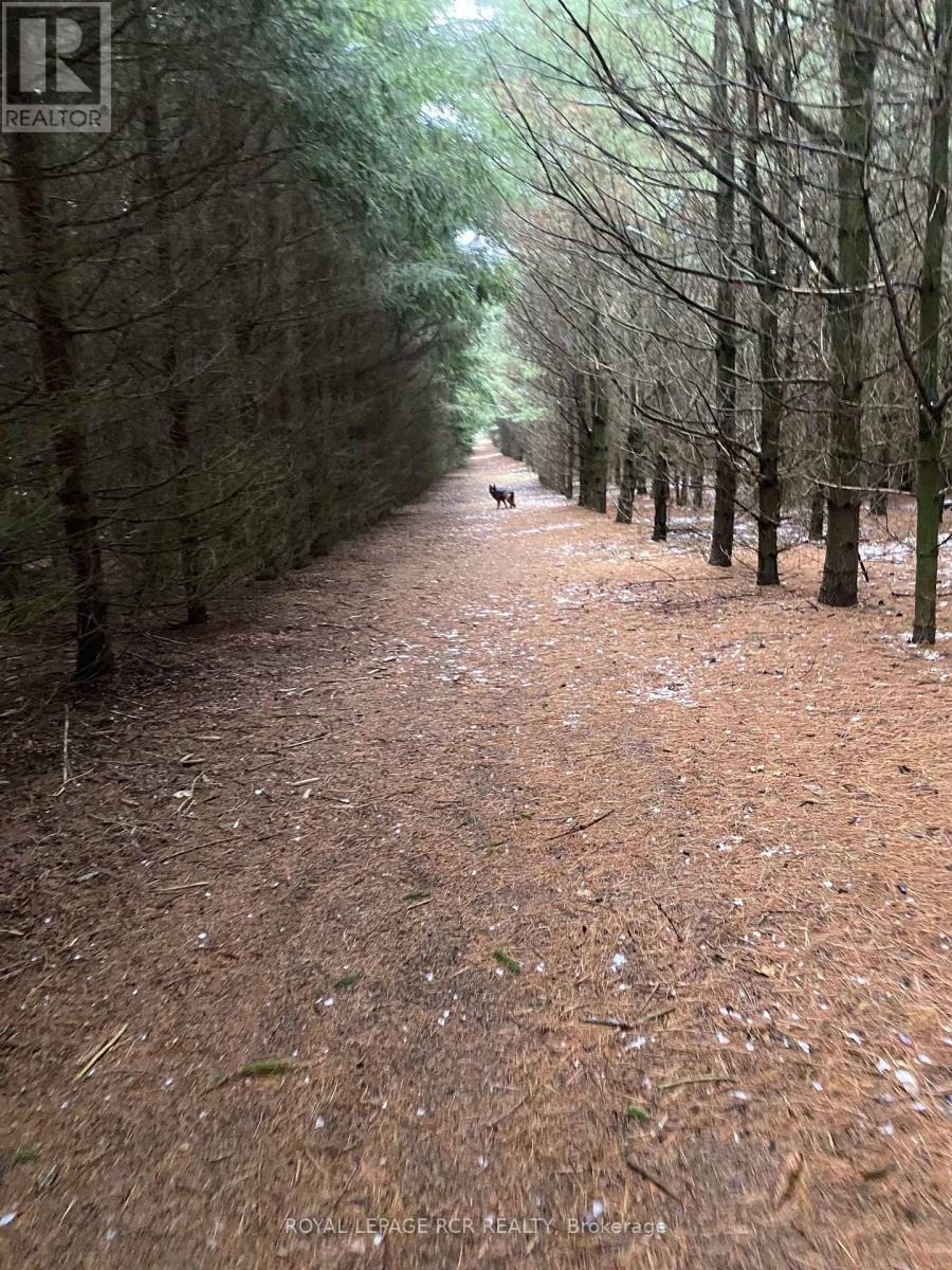 6000 Eighth Line, Erin, Ontario  N0B 1S0 - Photo 45 - X12744752