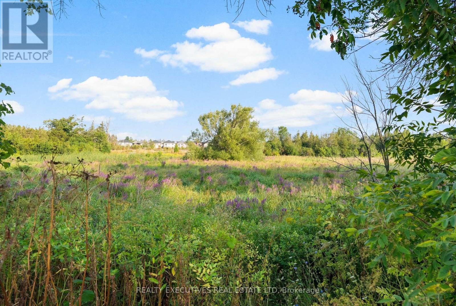 456 Millhaven Road N, Loyalist (Odessa), Ontario  K0H 2H0 - Photo 42 - X12747822