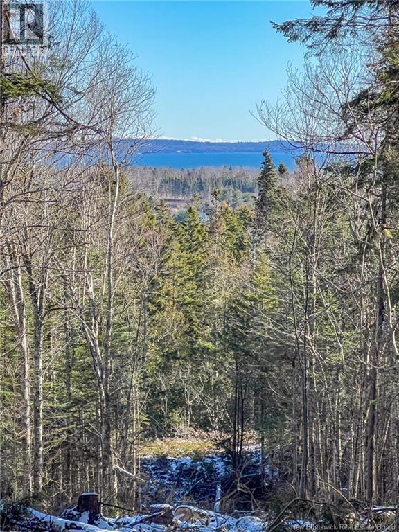 Land Chamcook Lake No. 1 Road, Chamcook, New Brunswick  E5B 2Z4 - Photo 1 - NB132987