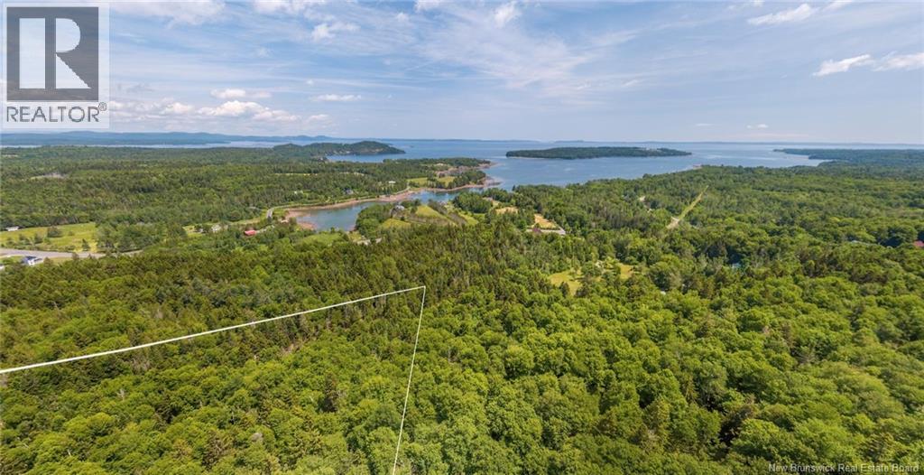 Land Chamcook Lake No. 1 Road, Chamcook, New Brunswick  E5B 2Z4 - Photo 5 - NB132987