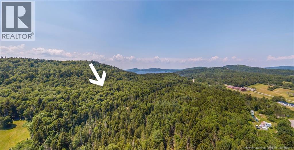 Land Chamcook Lake No. 1 Road, Chamcook, New Brunswick  E5B 2Z4 - Photo 6 - NB132987