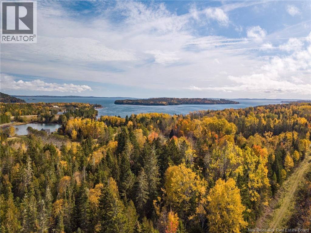 Land Chamcook Lake No. 1 Road, Chamcook, New Brunswick  E5B 2Z4 - Photo 9 - NB132987