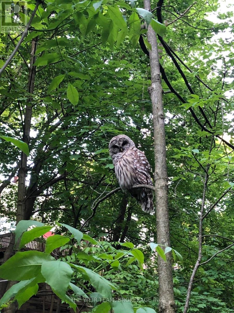 63 Wembley Drive, Toronto, Ontario  M4L 3C9 - Photo 38 - E12747906