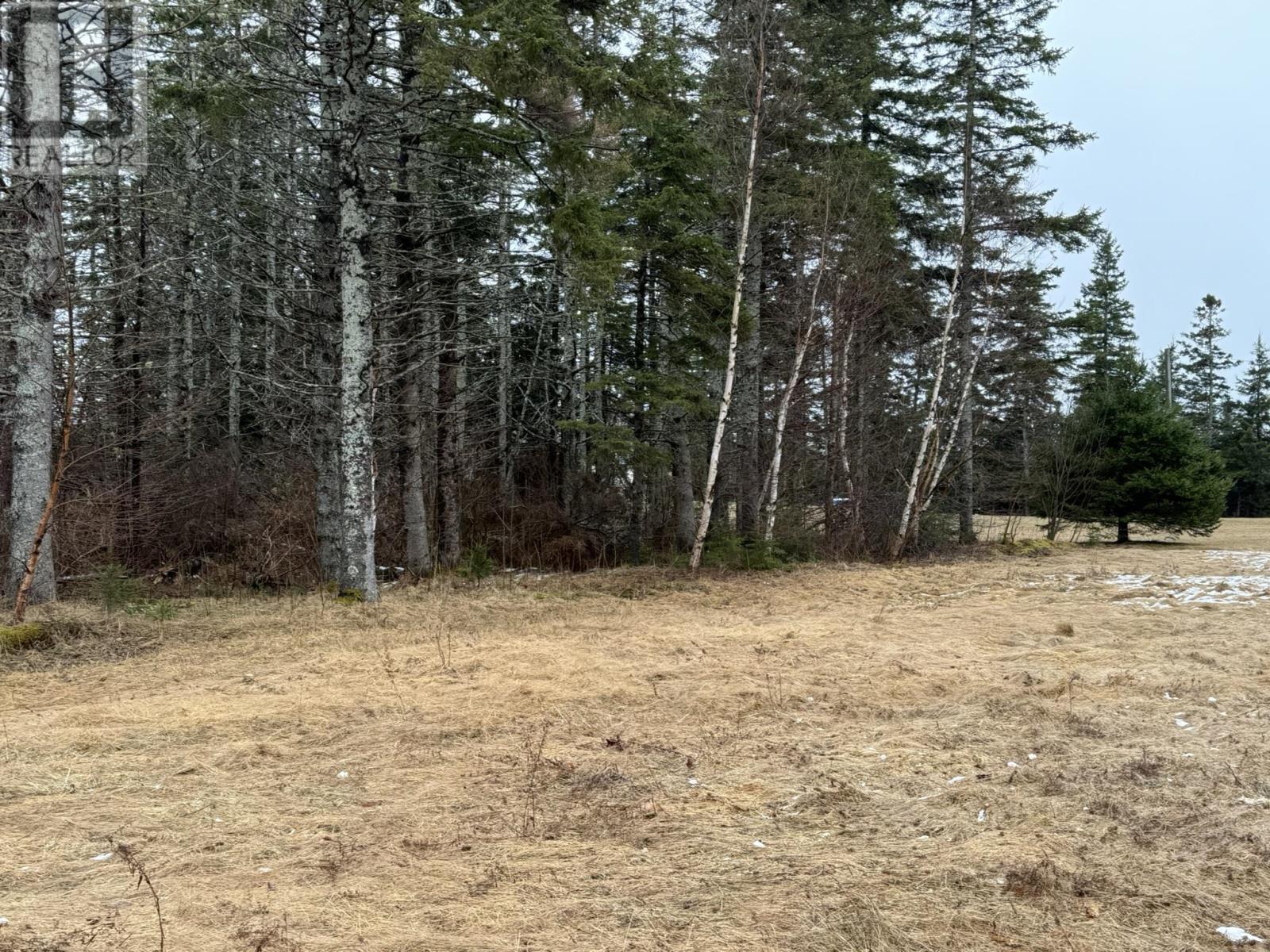 Lot Basin Head Road, Kingsboro, Prince Edward Island  C0A 2B0 - Photo 4 - 202601886