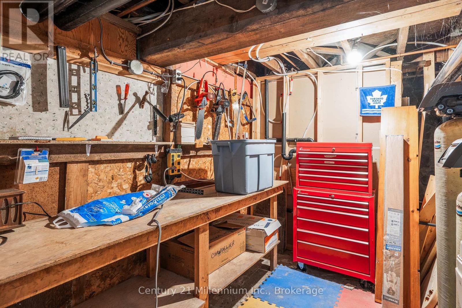 131-133 Garafraxa Street S, West Grey, Ontario  N0G 1R0 - Photo 26 - X12748312