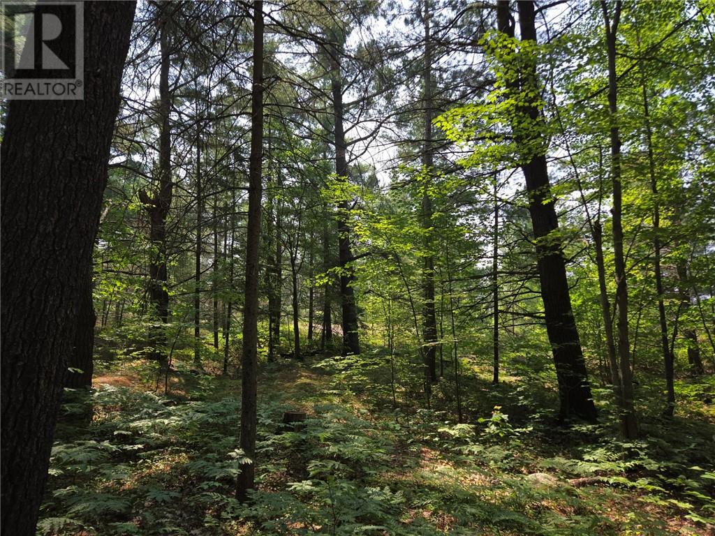 2062b Highway 64, Alban, Ontario  P0M 1A0 - Photo 2 - 2126288