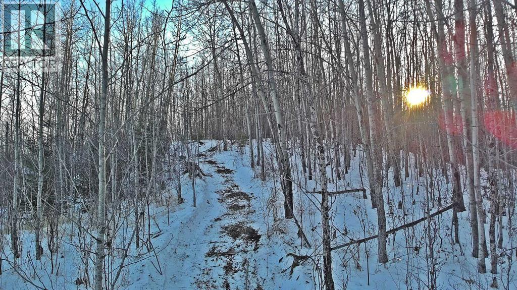 Lot 13 Range Road 14, Rimbey, Alberta  T0C 2J0 - Photo 12 - A2281736