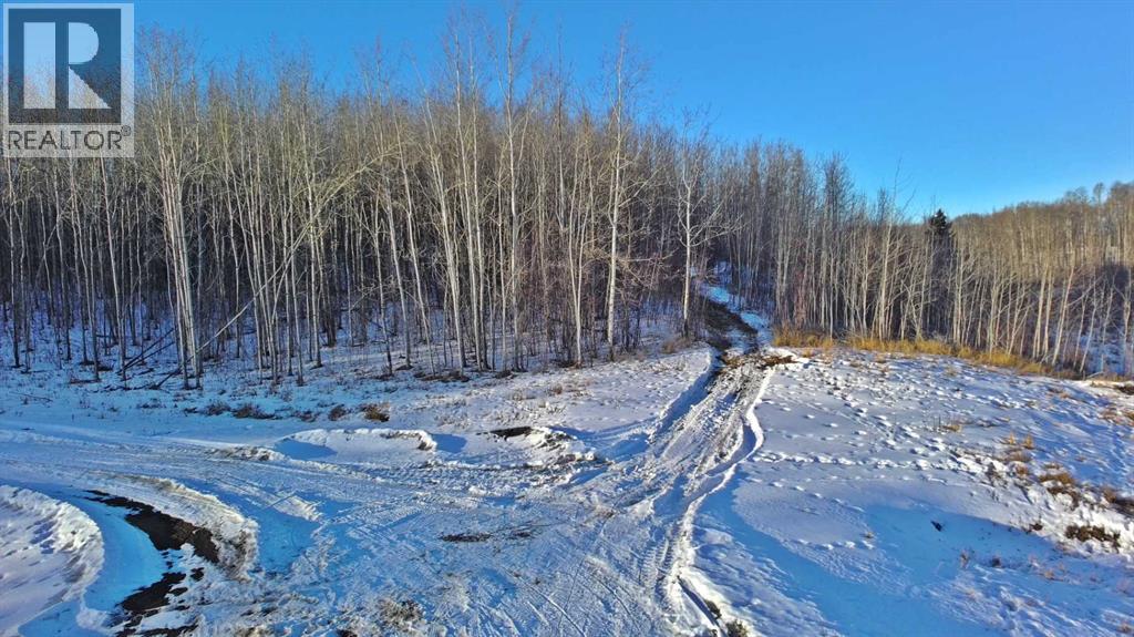 Lot 13 Range Road 14, Rimbey, Alberta  T0C 2J0 - Photo 4 - A2281736