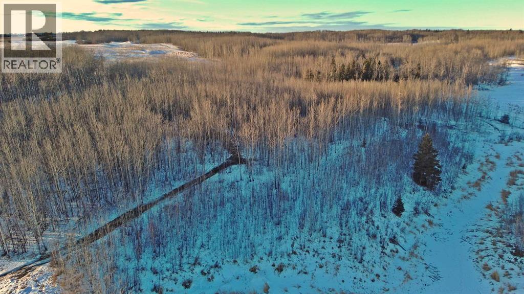 Lot 13 Range Road 14, Rimbey, Alberta  T0C 2J0 - Photo 9 - A2281736