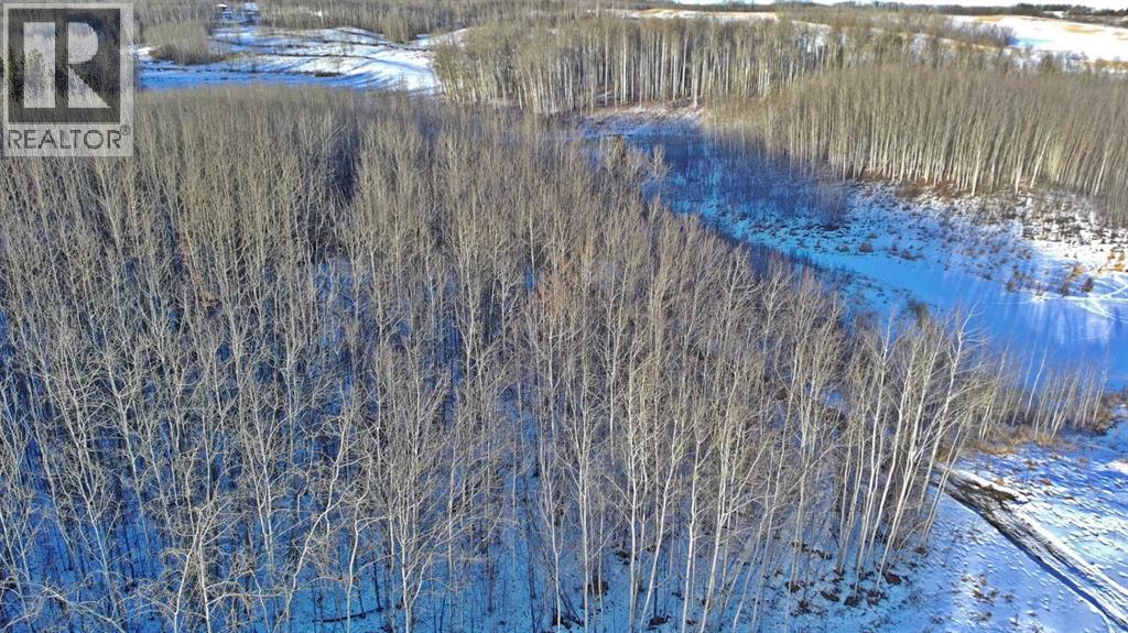 Lot 13 Range Road 14, Rimbey, Alberta  T0C 2J0 - Photo 8 - A2281736