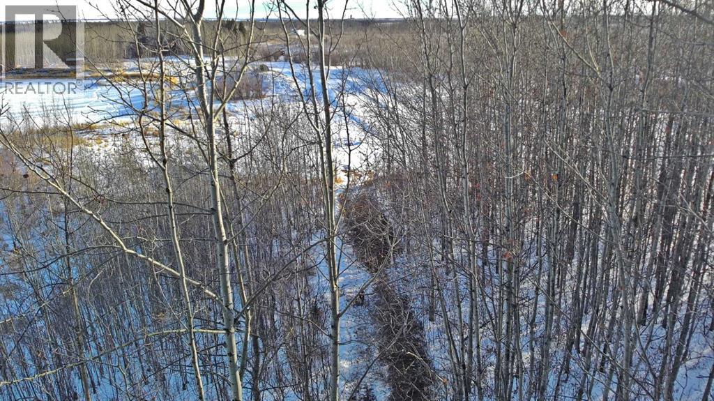 Lot 13 Range Road 14, Rimbey, Alberta  T0C 2J0 - Photo 7 - A2281736